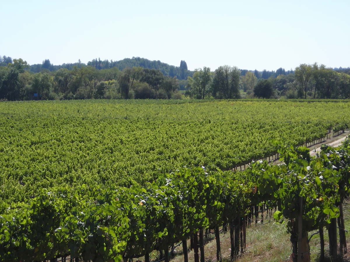 Winery Portals